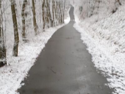 Asphaltierter Wanderweg durch einen verschneiten Wald.